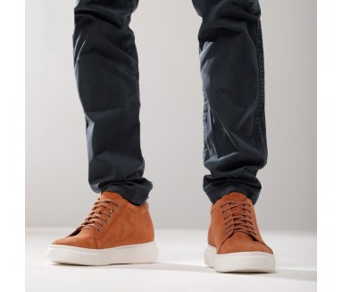 Brera Height Increasing...