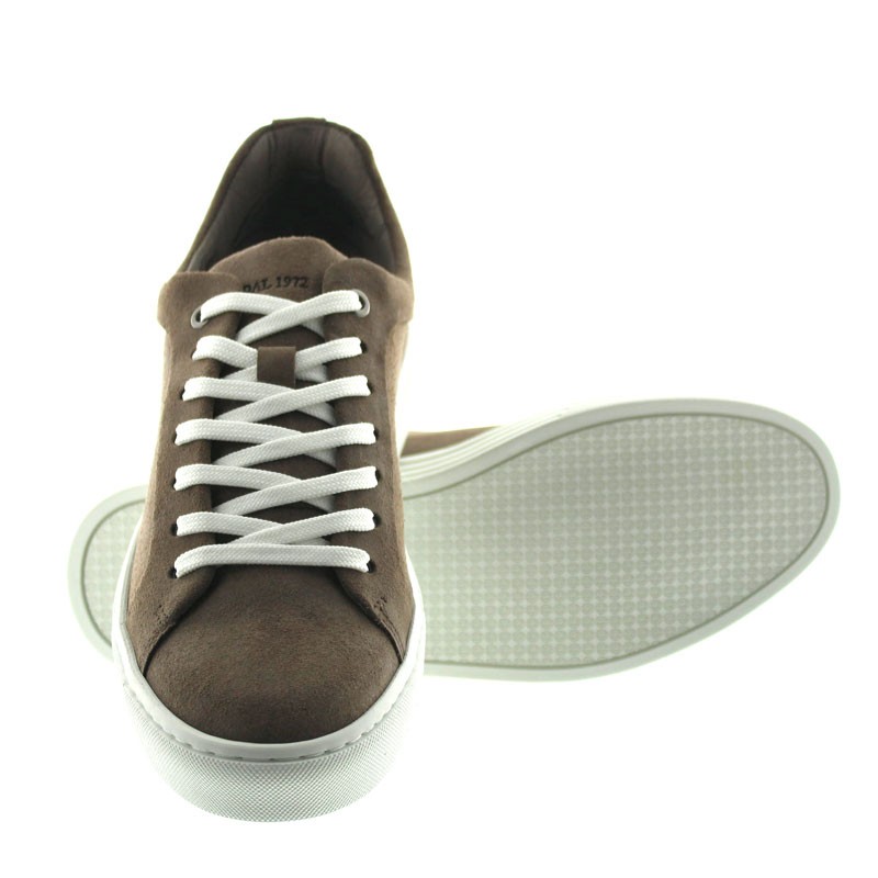 Sneakers Rehaussantes Ranzo Marron +6cm