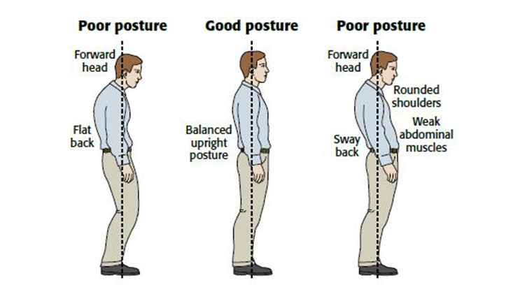 How can you improve your posture and look taller