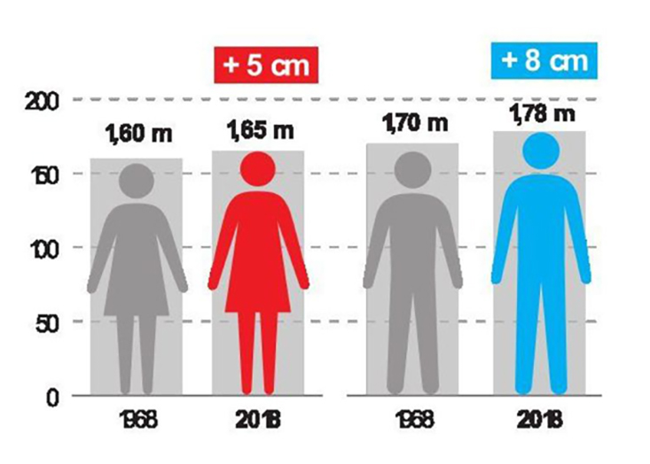 recencement de la popuplation, taille homme a grandi de 8cm en 50 ans - source: INSEE