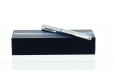 FOUNTAIN PEN - GIFT